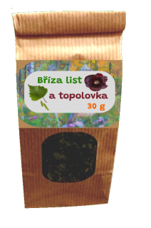 Bříza topolovka