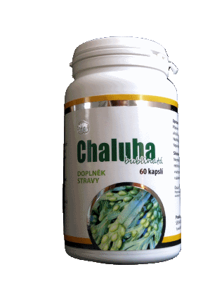 chaluha